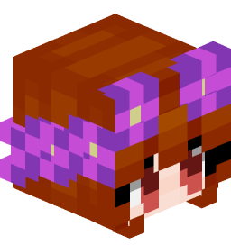 Minecraft-skin van LightWoodStorm